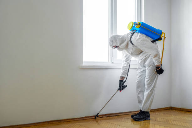 Best Emergency Pest Control  in Milton, WA