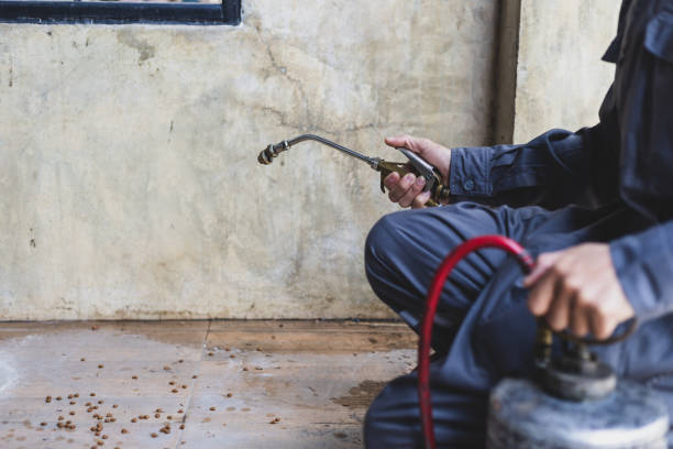 Best Pest Control for Businesses  in Milton, WA